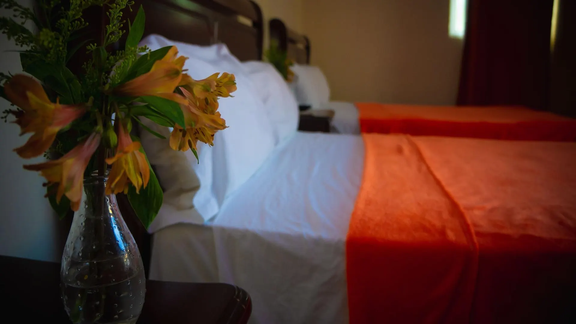 Hotel Luis V Santo Domingo